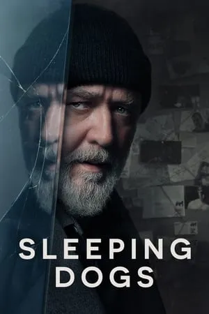 Mp4Moviez Sleeping Dogs 2024 English Full Movie WEB-DL 480p 720p 1080p Download